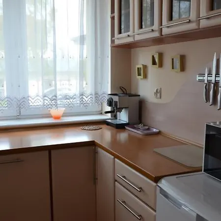 Apartament Przy Starowce